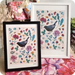 Due stampe incorniciate che raffigurano un merlo circondato da elementi vegetali, chiocciole, api e coccinelle su fondo rosato